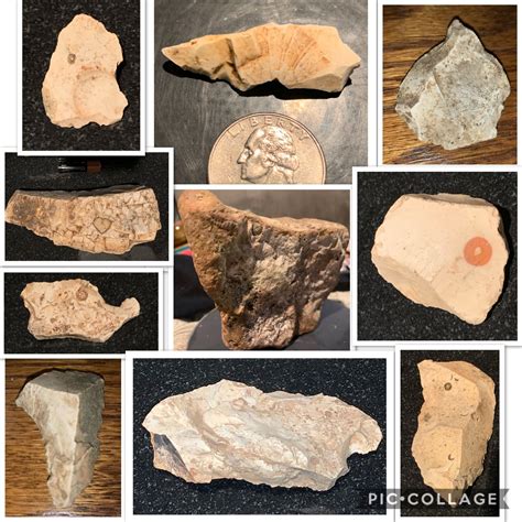 artifacts and fossils southeast louisiana.